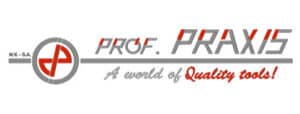 Prof-Praxis